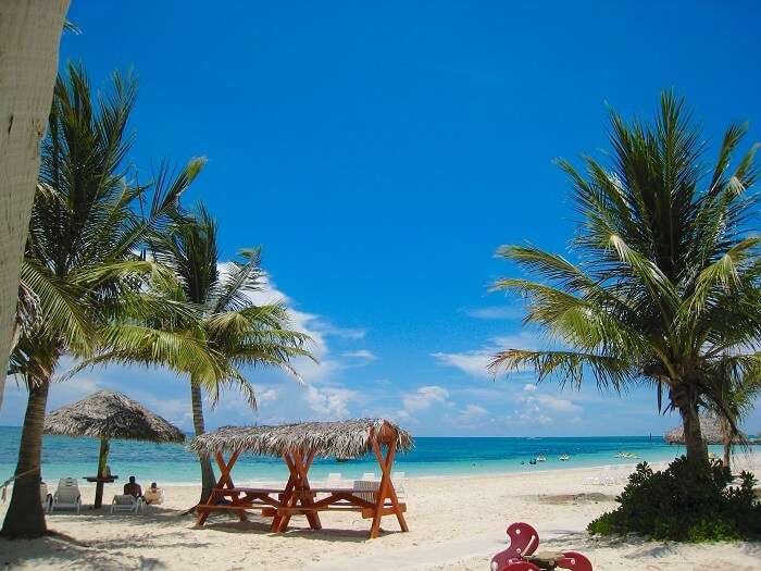 Grand Bahamas