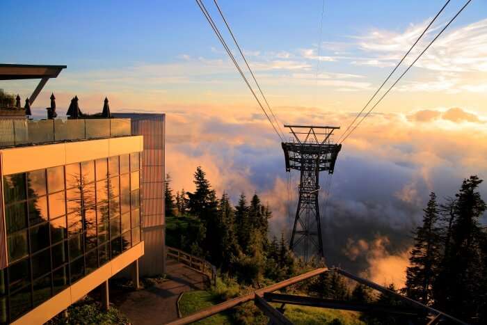 Grouse Mountain