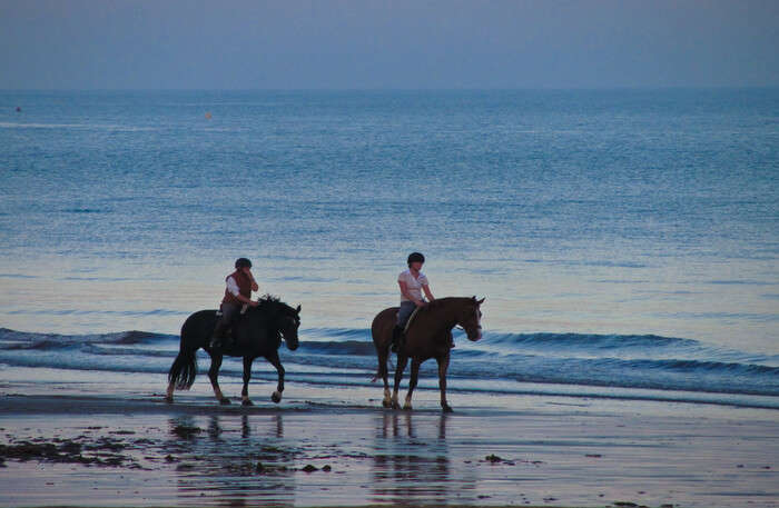 Horse Ride on the Beach