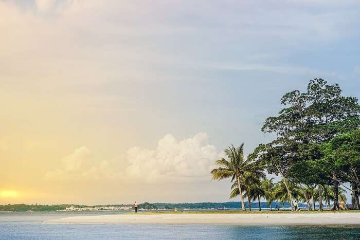 How to Reach Changi Beach