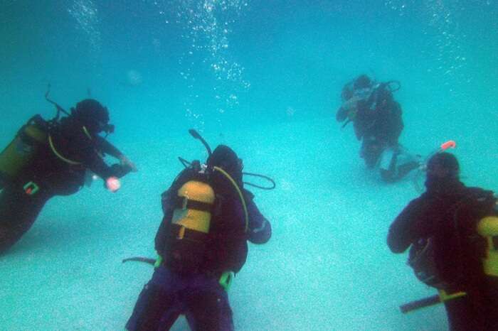 Indigo Divers