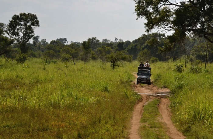 Jeep Safari View