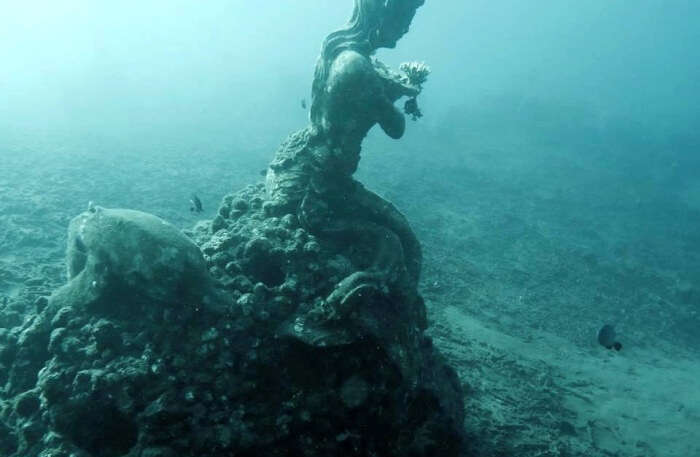  Underwater Gallery