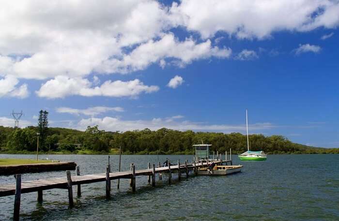 View Of Karuah National Park