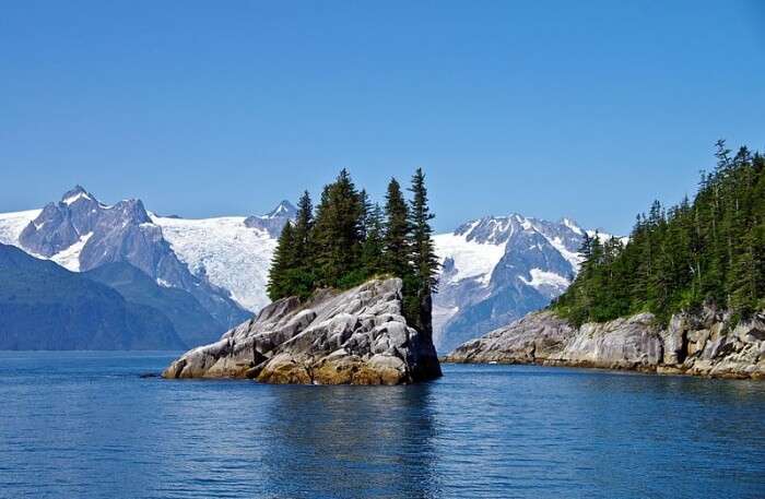 Kenai Fjord National Park View