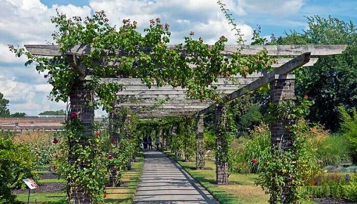 Kew Gardens