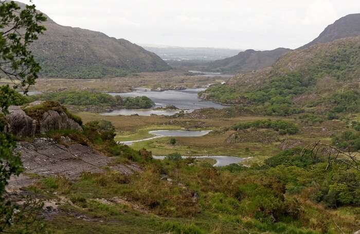 Killarney Park