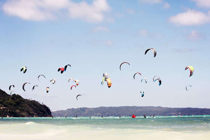 birds flying over sea