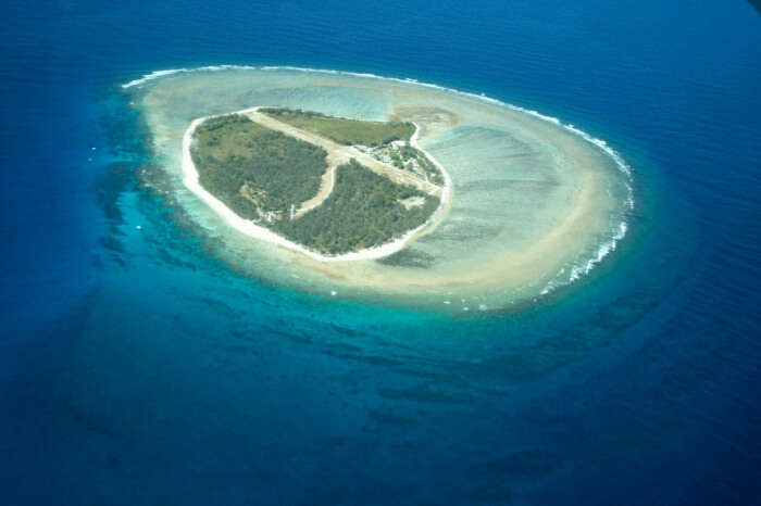 Lady Elliot Island