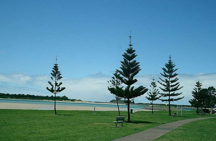 beautiful lake illawarra