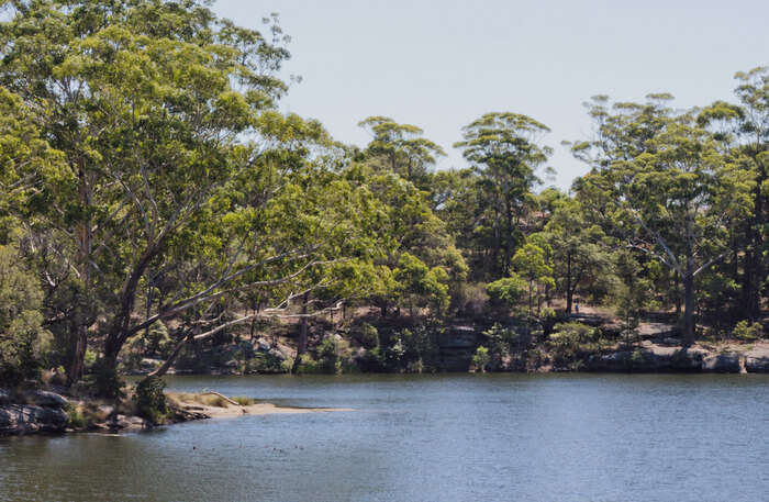 Lake Parramatta