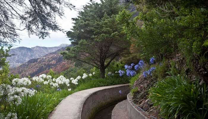 Levada Walking