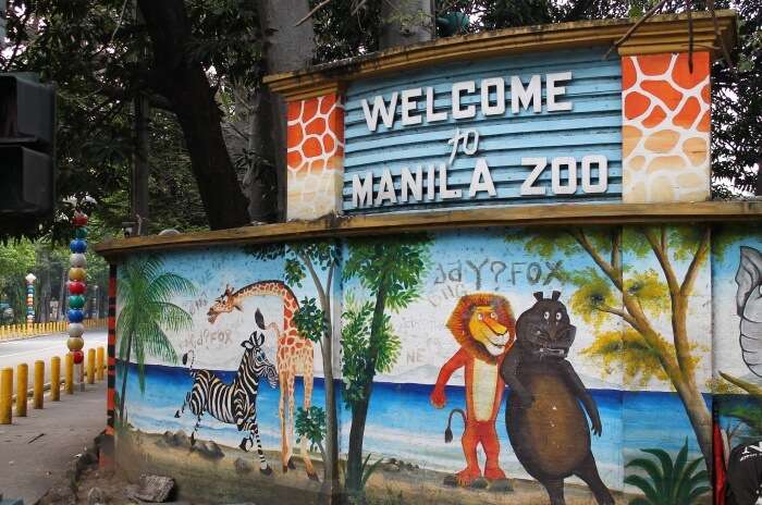 Manila Zoo