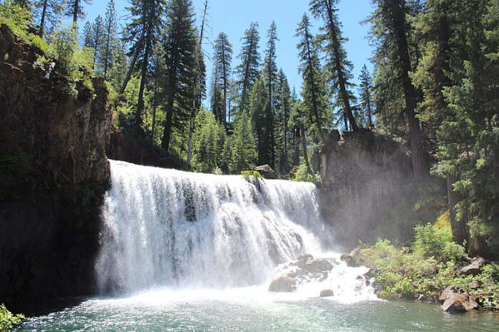 McCloud River Falls Trailhead