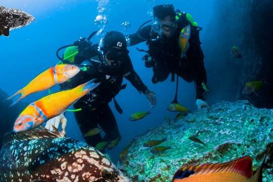 Mero Diving Center