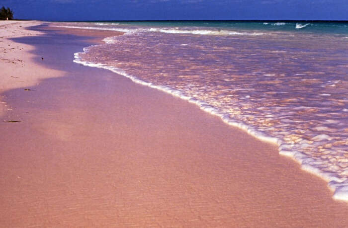 Mesmerize the Caribbean beauty on Pink Sands Beach