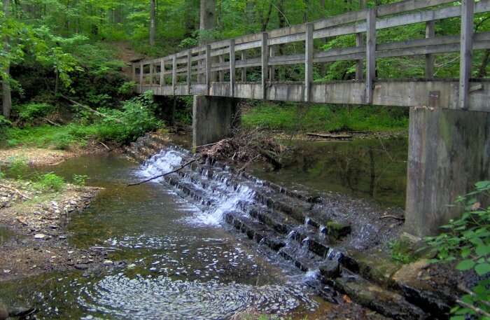 Mill Creek Trail