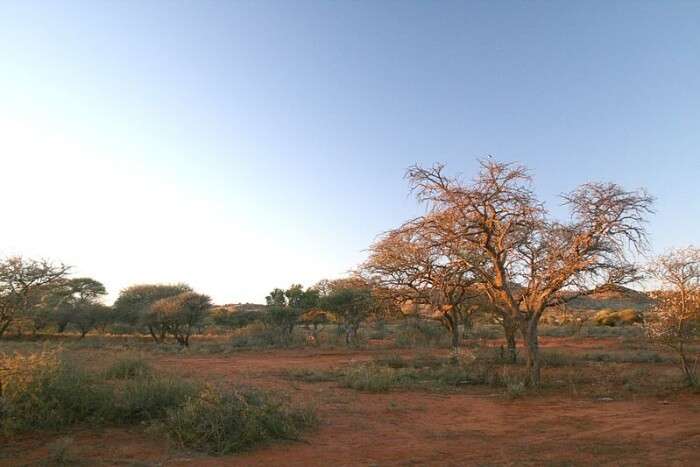 Mokala National Park