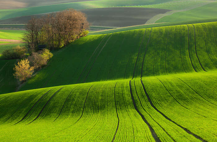 Moravia