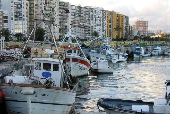 Muelle-Port