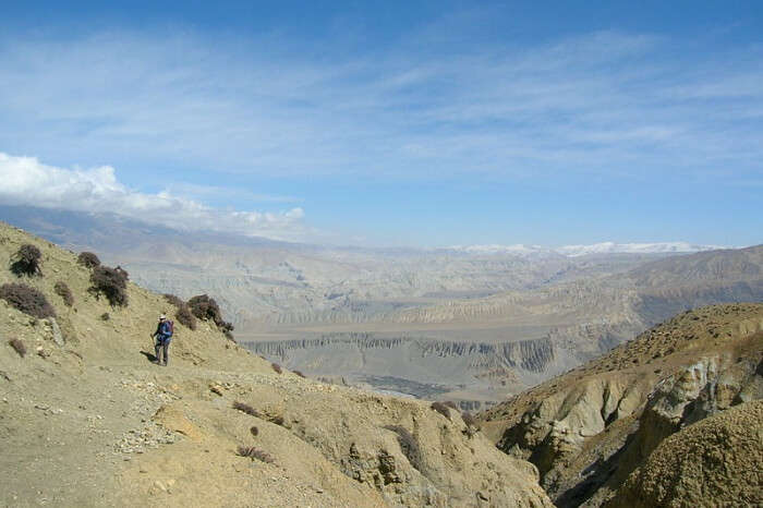 Mustang Trek