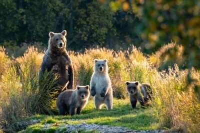 National Parks