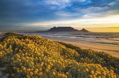 National Parks In Cape Town Cover