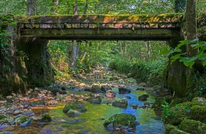 Wooden Bridge