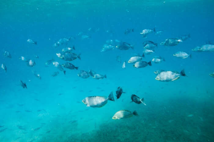 Nilaveli Diving Centre