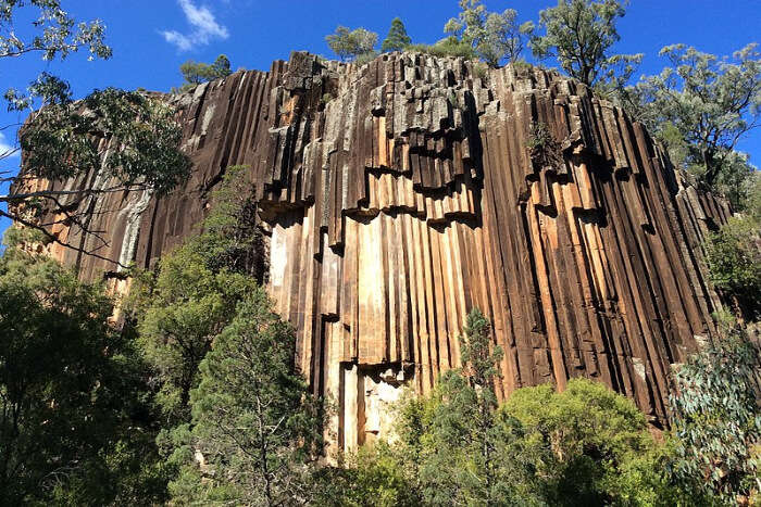 Organ Pipes National Park Trail