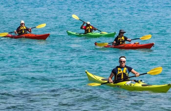 Palm Beach And Pittwater Kayak Tours