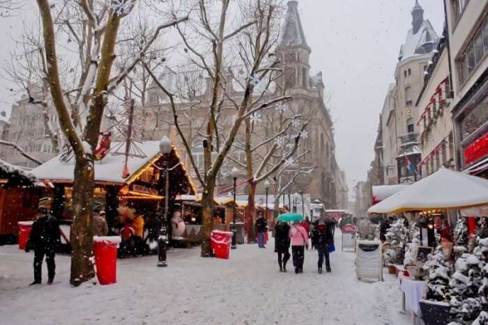 Participate In The Winter Celebrations