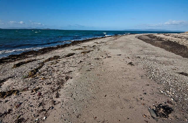 Partridge Point