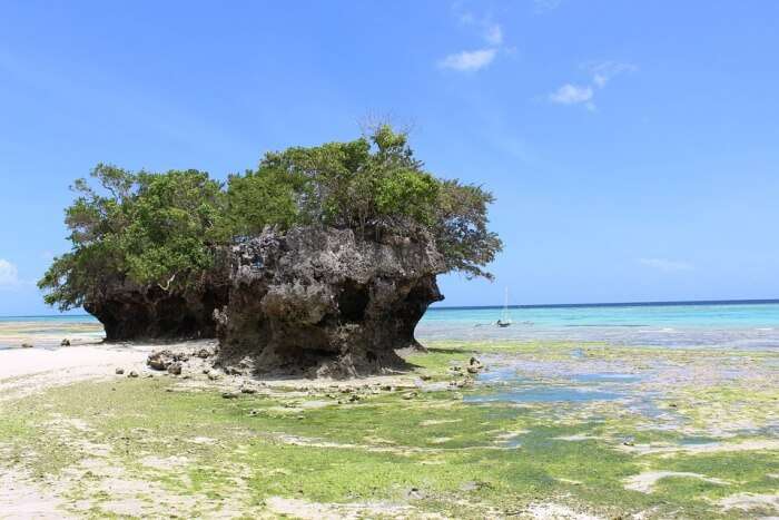 Ocean Pemba Island Sea Sun Vacation Holiday Water