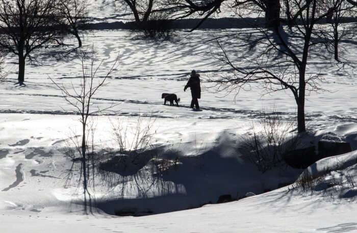 Rideau Trail View