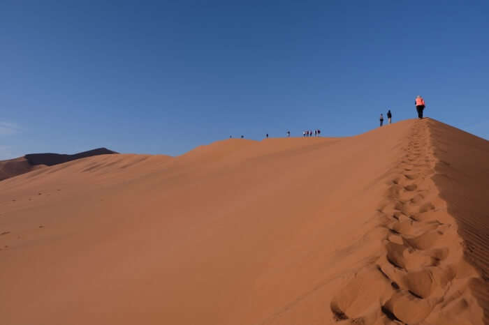 Sahara Desert Hiking