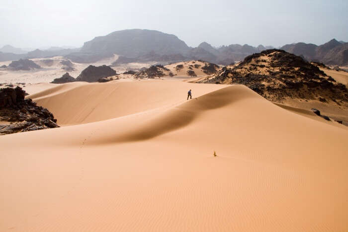 Sahara Desert Trekking