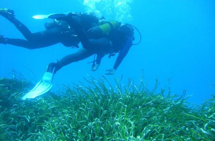 Scuba Diving