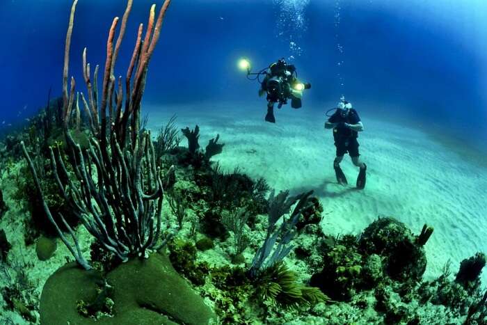 Scuba diving in New Marki beach