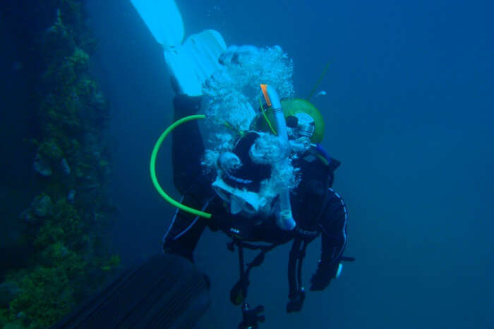 scuba diving with the seals in hout bay