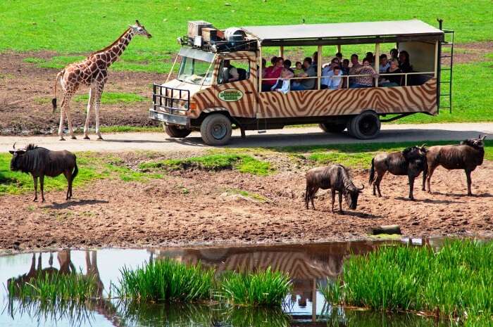 Serengeti Park, Hodenhagen