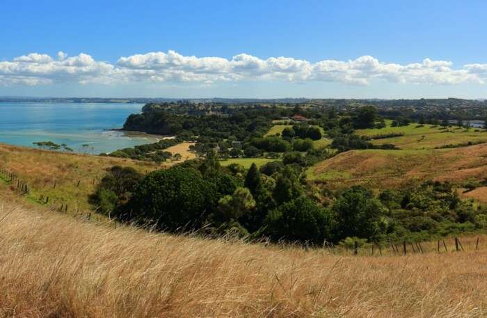 Shakespear Regional Park