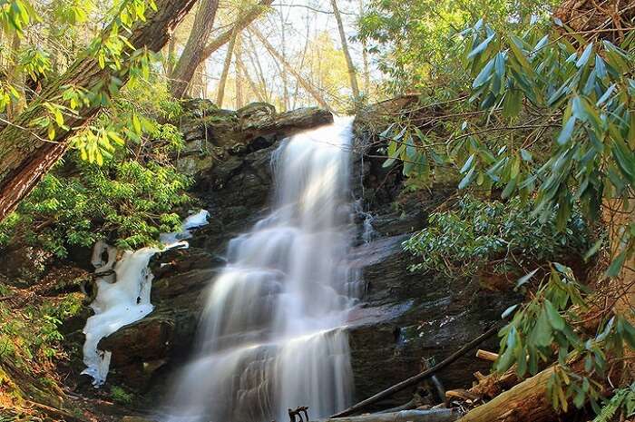 Silver Cascades