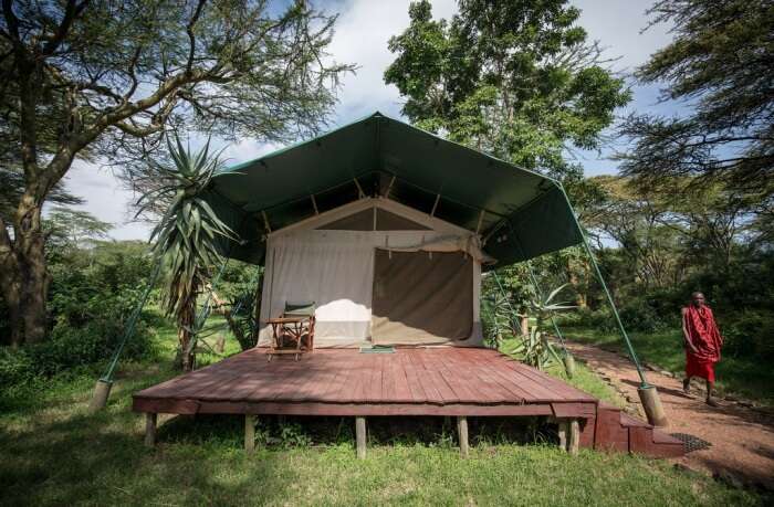 Stay in safari styled camps