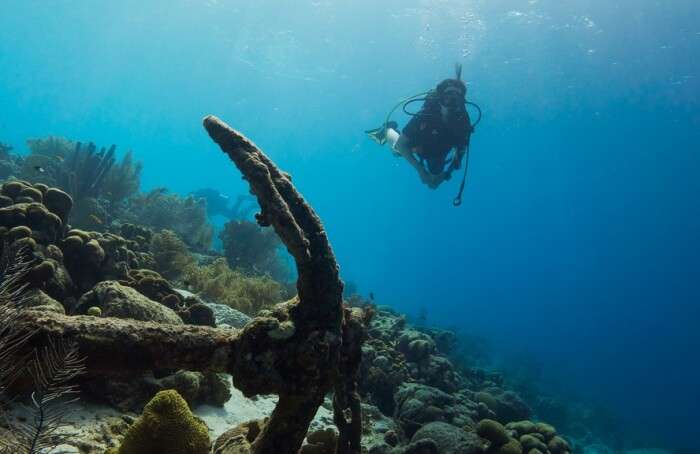 Sydney Guided Shore Dive