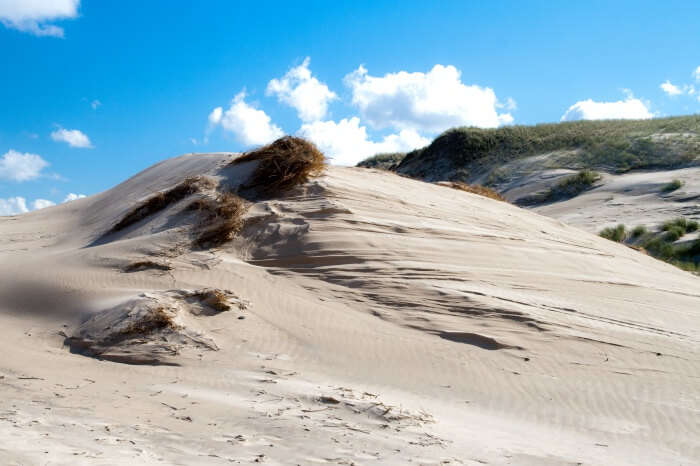 Dune in S³owiñski National Park