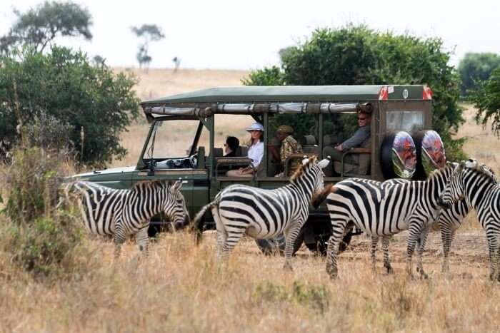 Take the Ingrid's Safaris