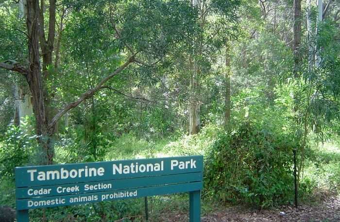 View of Tamborine National Park