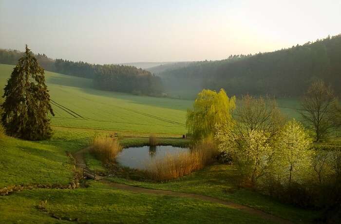 Taunus