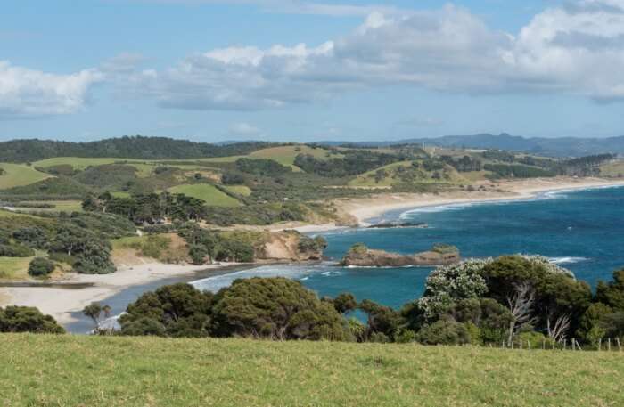 Tawharanui Regional Park